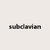 subclavian是什么意思