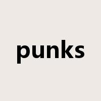 punks是什么意思