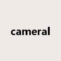 cameral是什么意思