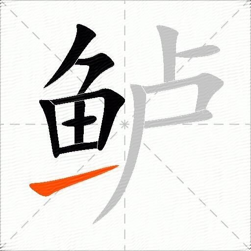 鲈