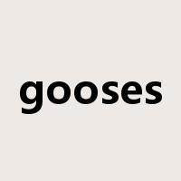 gooses是什么意思