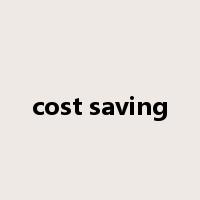 cost saving是什么意思