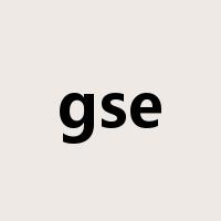gse是什么意思
