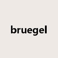 bruegel是什么意思