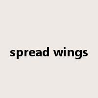 spread wings是什么意思