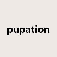 pupation是什么意思
