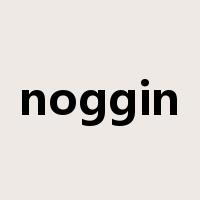 noggin是什么意思