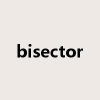 bisector是什么意思