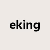 eking是什么意思