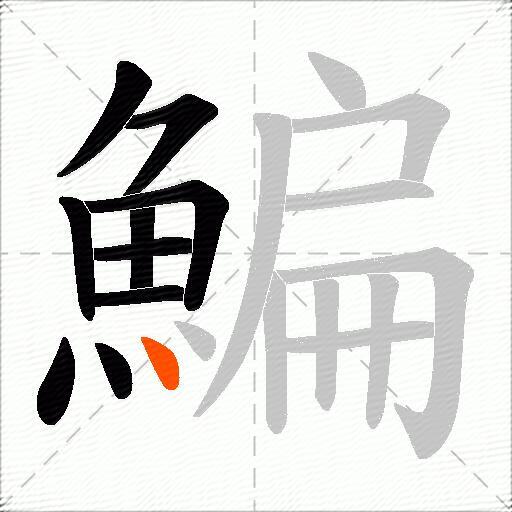 鯿