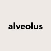 alveolus是什么意思