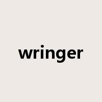 wringer是什么意思