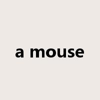 a mouse是什么意思