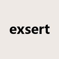 exsert是什么意思