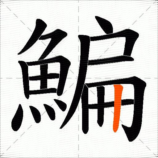 鯿