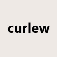 curlew是什么意思