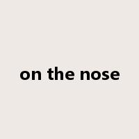on the nose是什么意思