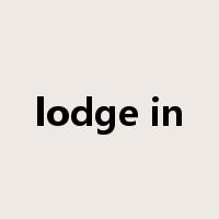 lodge in是什么意思