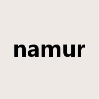 namur是什么意思