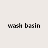wash basin是什么意思