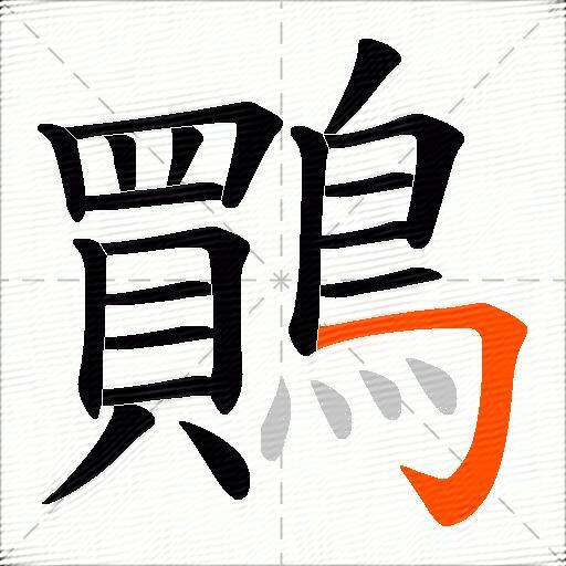 鷶