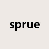 sprue是什么意思