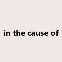 in the cause of是什么意思
