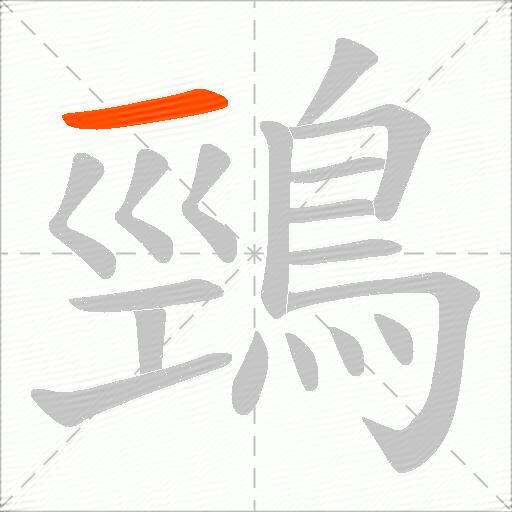 鵛