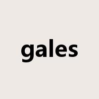 gales是什么意思