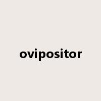ovipositor是什么意思