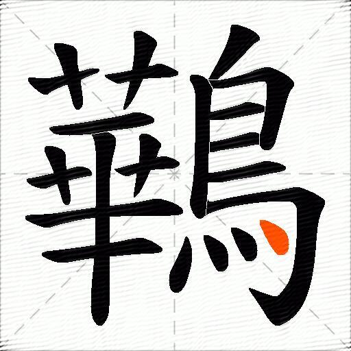 鷨