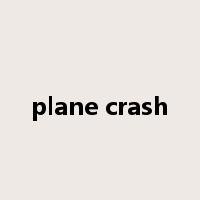 plane crash是什么意思