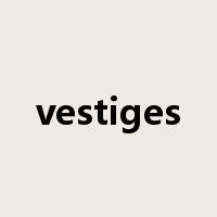 vestiges是什么意思