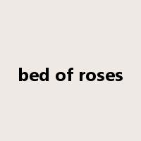 bed of roses是什么意思
