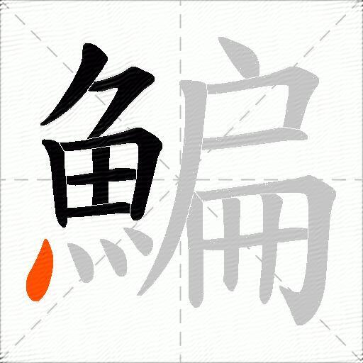 鯿