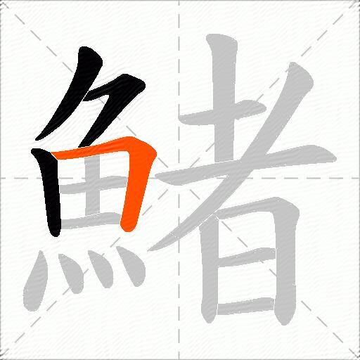 鯺