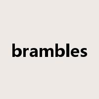 brambles是什么意思