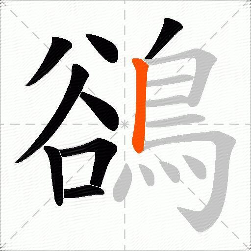鵒