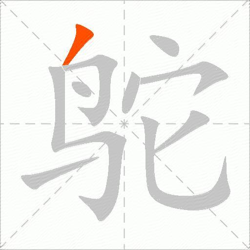 鸵