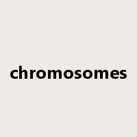 chromosomes是什么意思