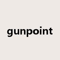 gunpoint是什么意思