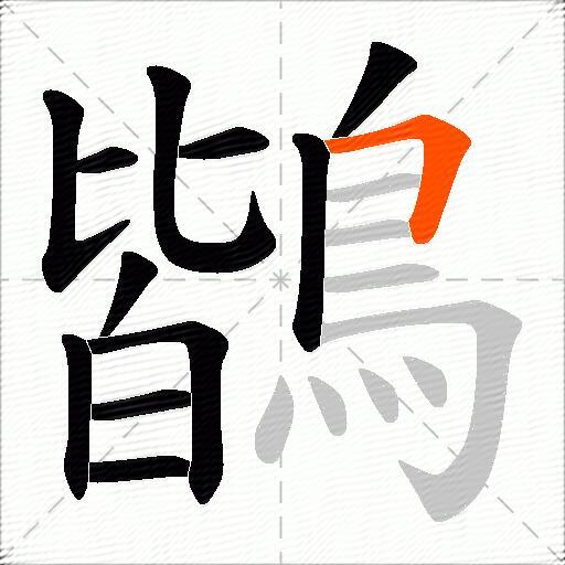 鶛