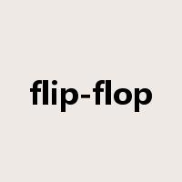 flip-flop是什么意思