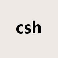 csh是什么意思