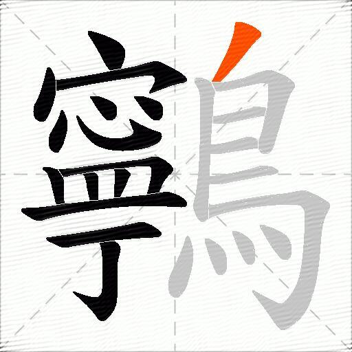 鸋