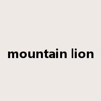 mountain lion是什么意思