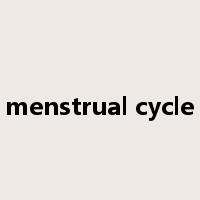 menstrual cycle是什么意思