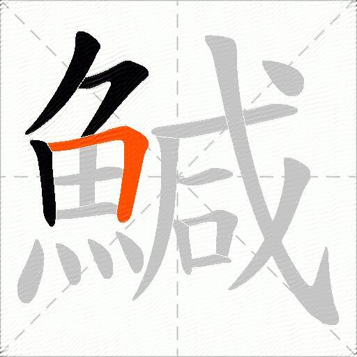 鰔