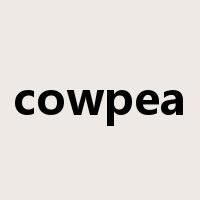 cowpea是什么意思