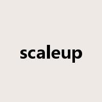 scaleup是什么意思